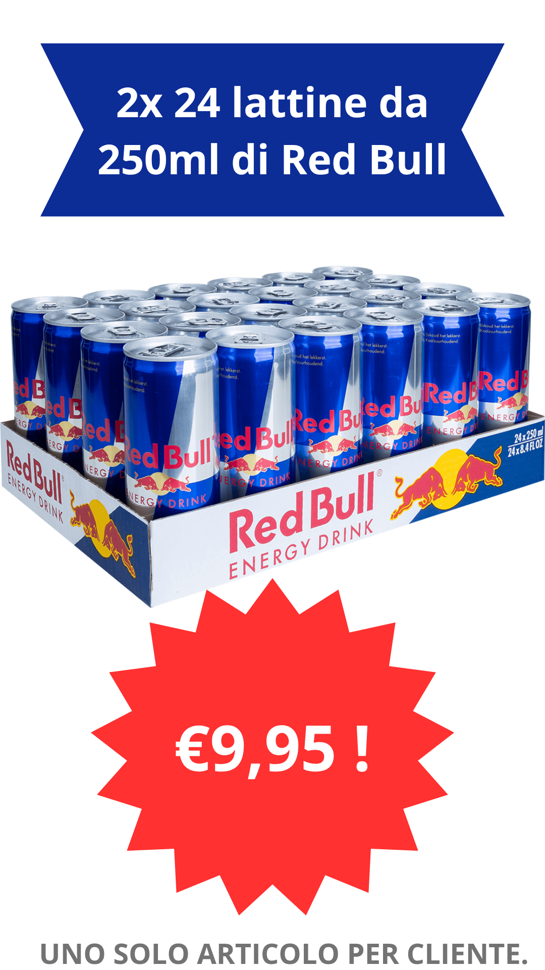 2x 24 lattine da 250ml di Red Bull